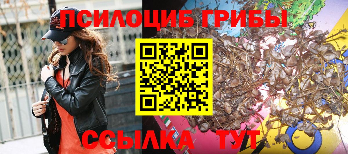 Каменск-Уральский  Псилоцибиновые грибы мицелий  Вход с VPN  Псилоцибиновые грибы Magic Shrooms 